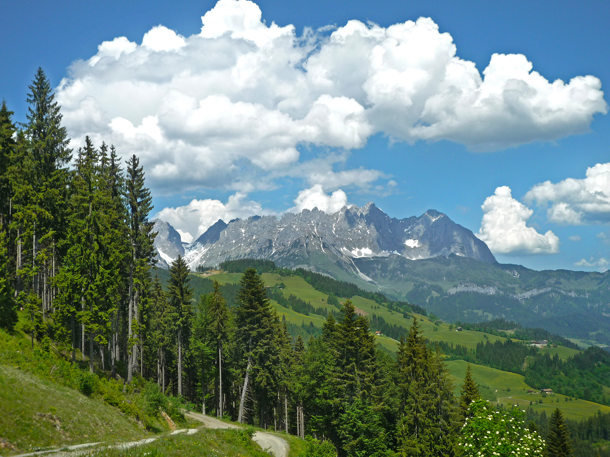 hubertus-sommer